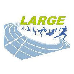 Ligue Grand Est d'athlétisme